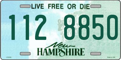 NH license plate 1128850