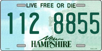 NH license plate 1128855