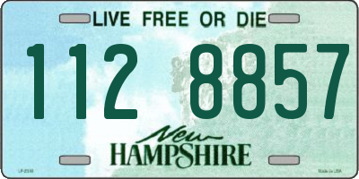 NH license plate 1128857