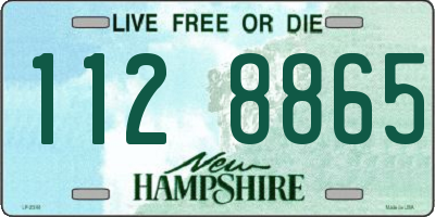 NH license plate 1128865