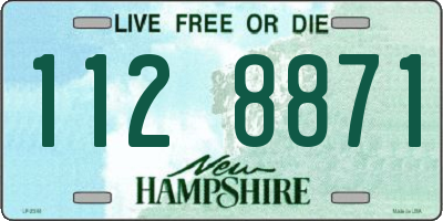 NH license plate 1128871