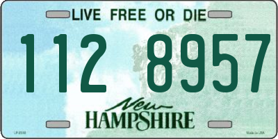 NH license plate 1128957