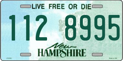 NH license plate 1128995