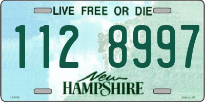 NH license plate 1128997