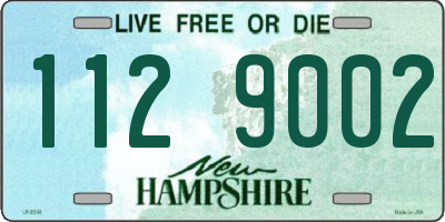 NH license plate 1129002