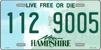 NH license plate 1129005