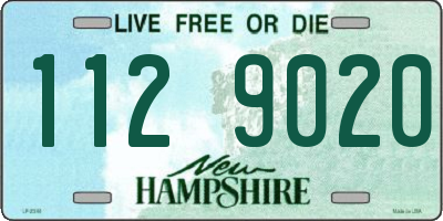 NH license plate 1129020
