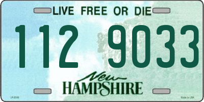 NH license plate 1129033