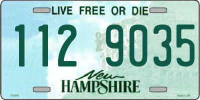 NH license plate 1129035