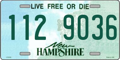NH license plate 1129036