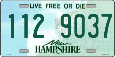NH license plate 1129037