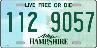 NH license plate 1129057