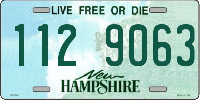 NH license plate 1129063