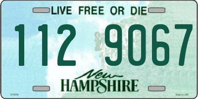NH license plate 1129067