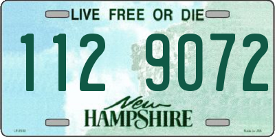 NH license plate 1129072