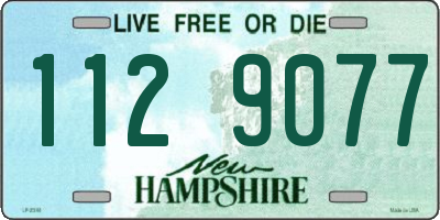 NH license plate 1129077