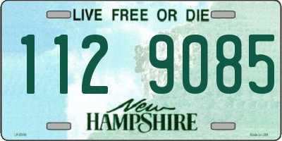NH license plate 1129085