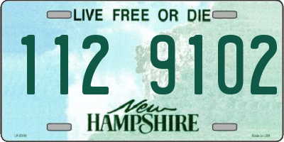 NH license plate 1129102