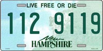 NH license plate 1129119