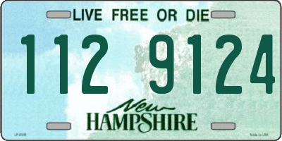 NH license plate 1129124