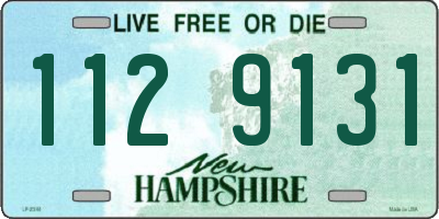 NH license plate 1129131