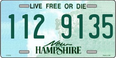 NH license plate 1129135