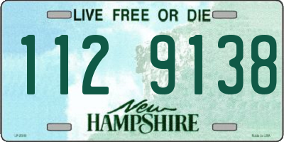 NH license plate 1129138