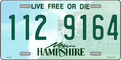 NH license plate 1129164