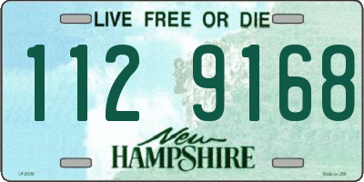 NH license plate 1129168