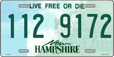 NH license plate 1129172