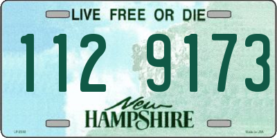 NH license plate 1129173