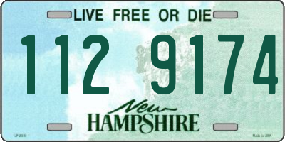 NH license plate 1129174
