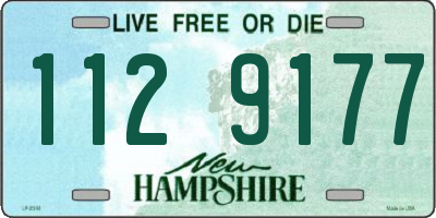 NH license plate 1129177