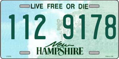 NH license plate 1129178