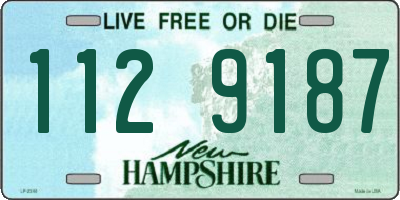 NH license plate 1129187