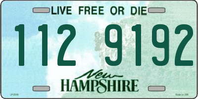 NH license plate 1129192