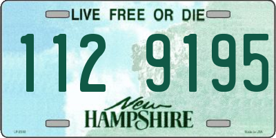 NH license plate 1129195