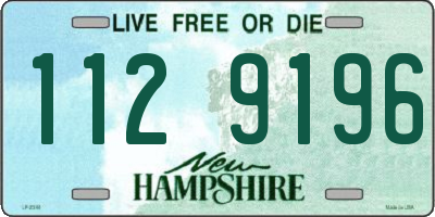 NH license plate 1129196