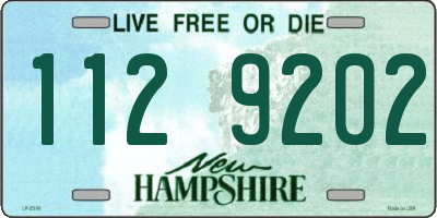 NH license plate 1129202