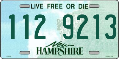 NH license plate 1129213