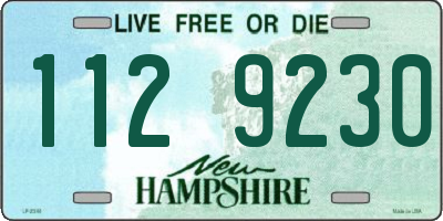 NH license plate 1129230