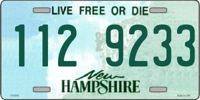 NH license plate 1129233