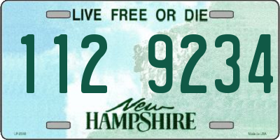 NH license plate 1129234