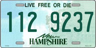 NH license plate 1129237