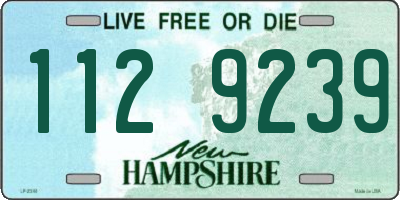 NH license plate 1129239