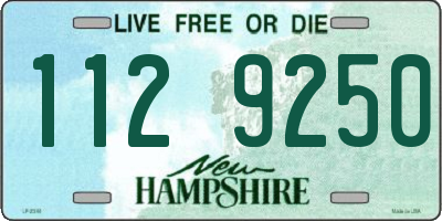 NH license plate 1129250