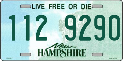 NH license plate 1129290