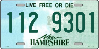 NH license plate 1129301