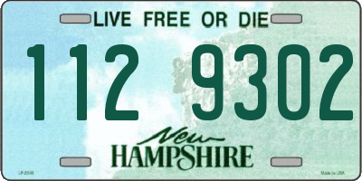 NH license plate 1129302
