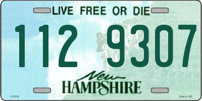NH license plate 1129307